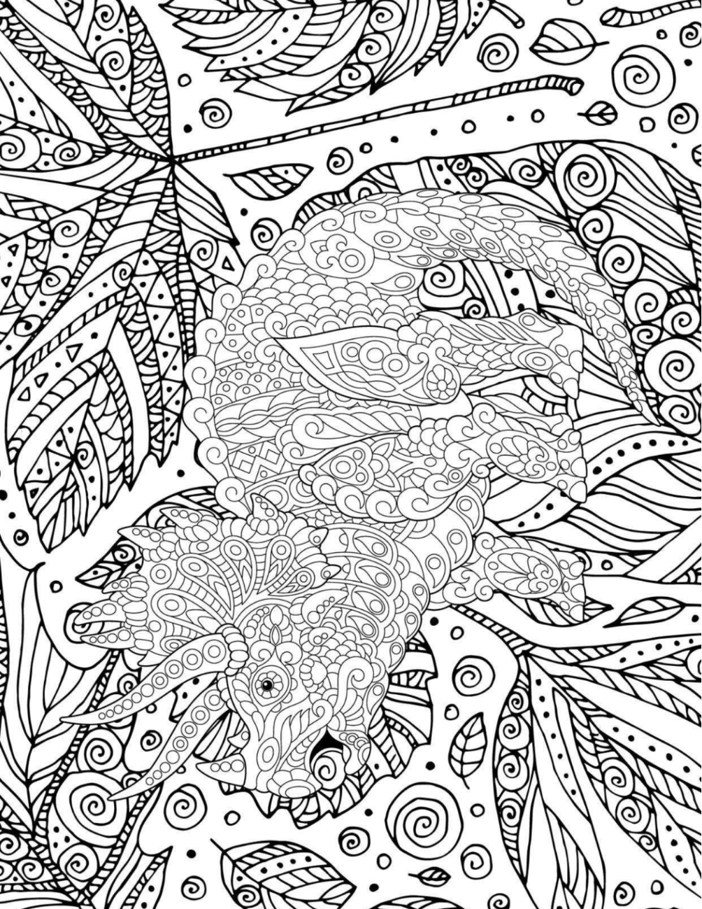 Jurassic Worlds Coloring Book Vol. 2 Digital Download PDF | 39 Pages Adult Dinosaur Coloring Book