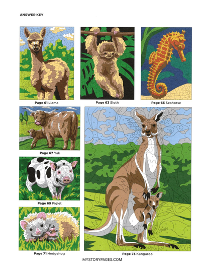 Mystery Coloring Book Tome 2 (Digital Download)