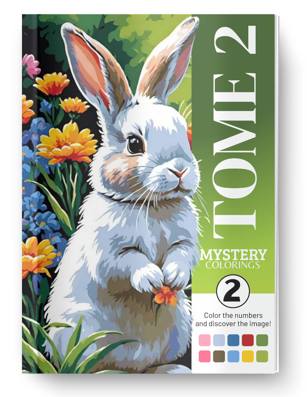 Mystery Coloring Book Tome 2 (Digital Download)
