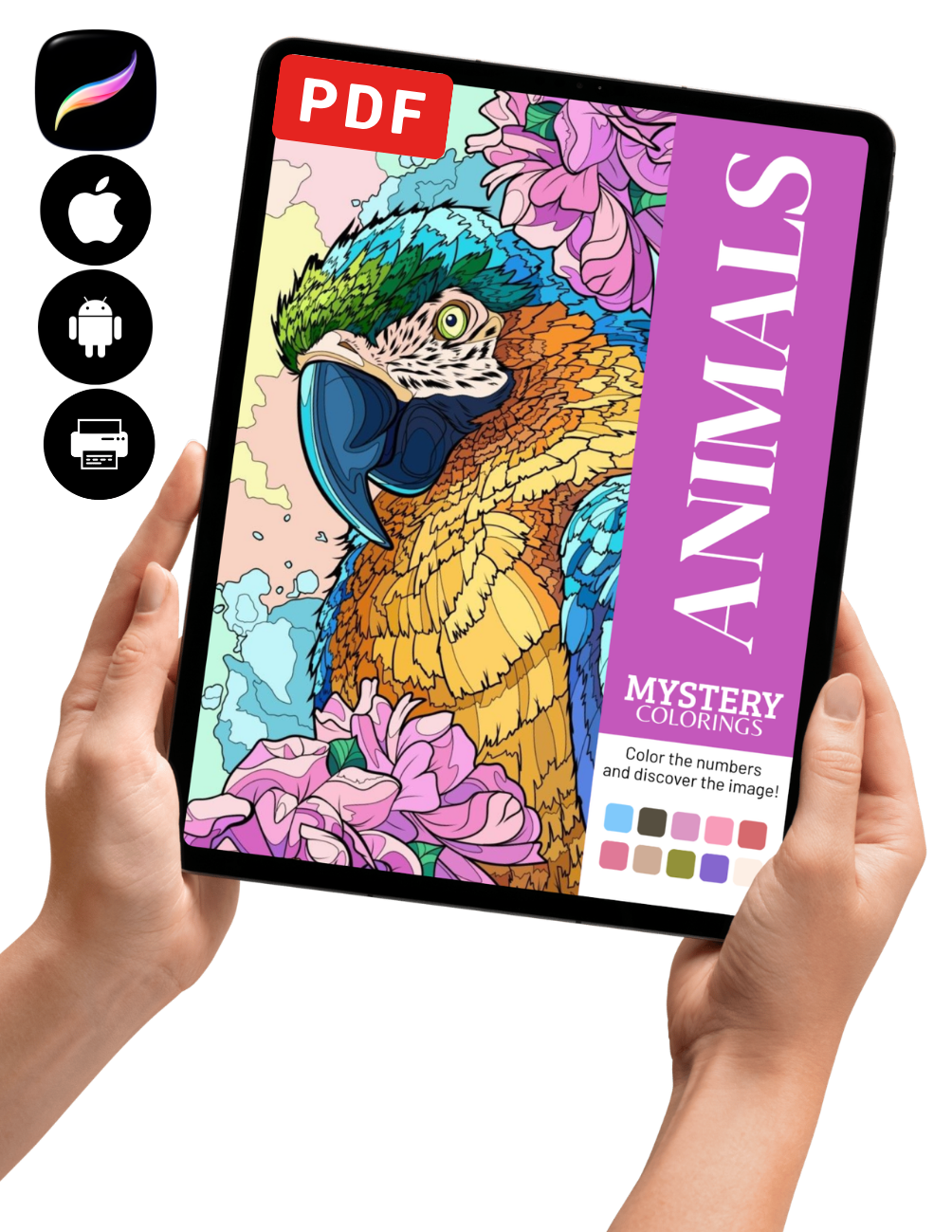 Animals Mystery Coloring (Digital Download) – Color by Numbers | Printable & Tablet