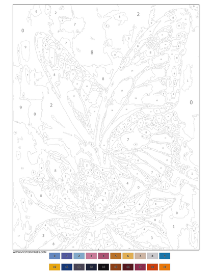 Insects Mystery Coloring Book (Digital Download)