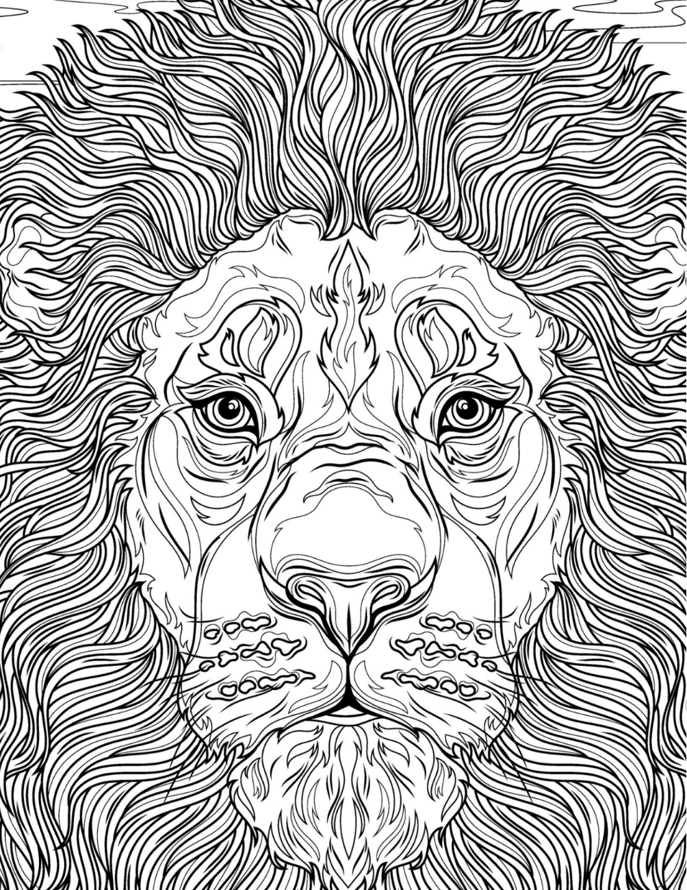 Magical Safari Coloring Book Vol. 1 Digital Download PDF | Adult Animal Coloring Pages