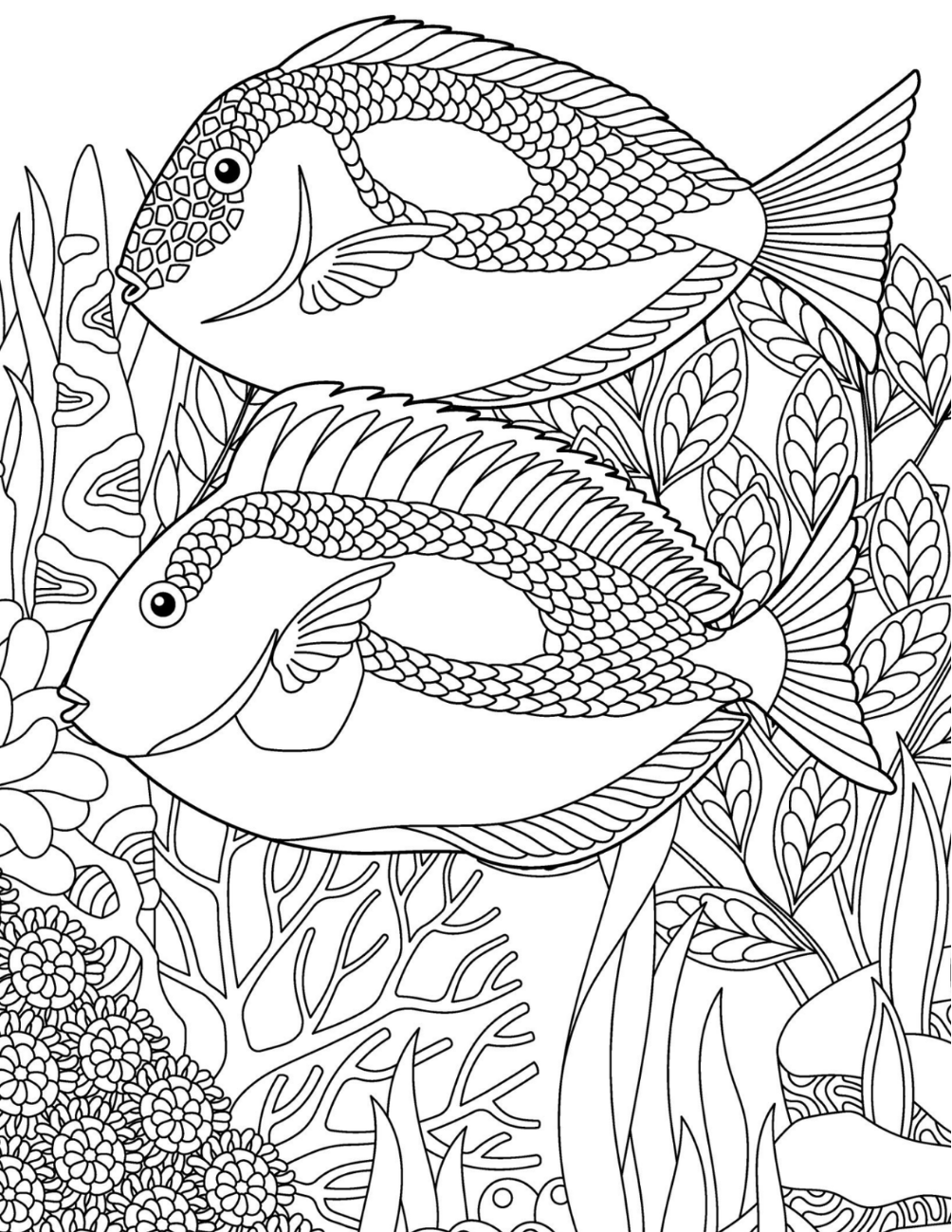 Ocean Paradise Coloring Book Vol. 5 Digital Download PDF | 39 Pages Sea Life Adult Coloring Book