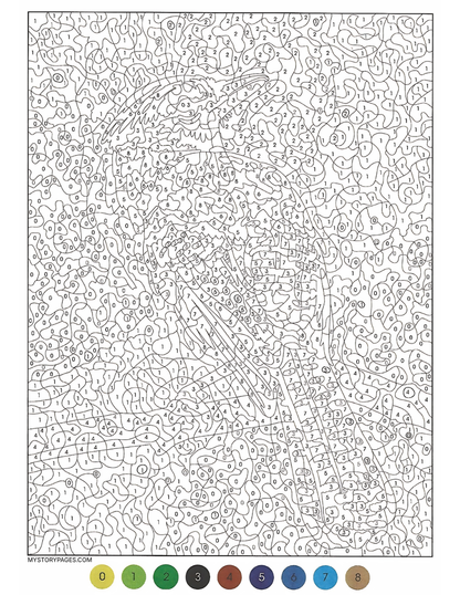 Mystery Coloring Book Tome 1 (Digital Download)