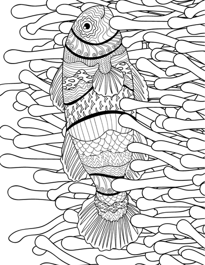 Sparkling Seashells Coloring Book Vol. 10 (Digital Download)