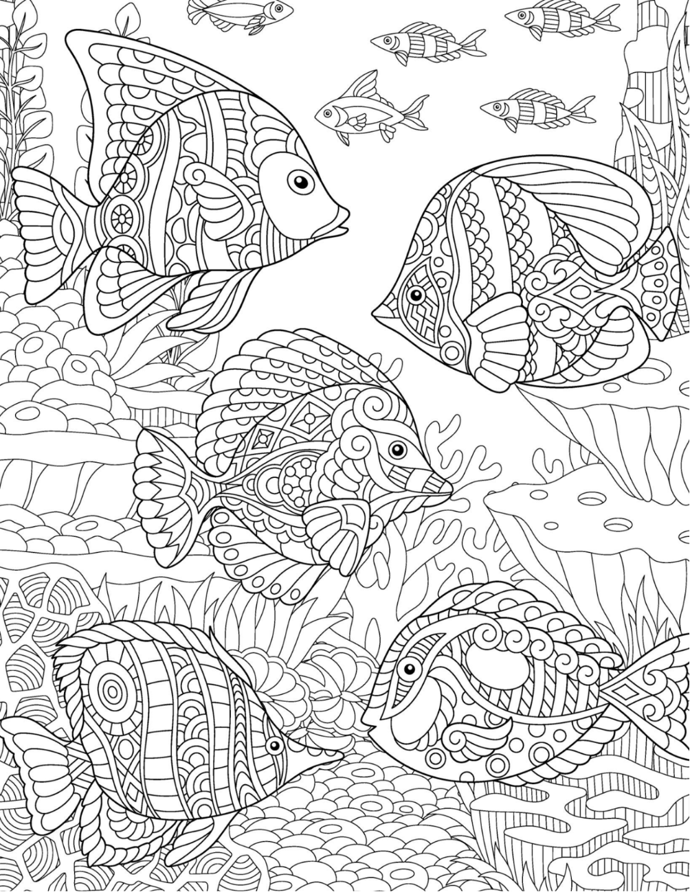 Sparkling Seashells Coloring Book Vol. 10 (Digital Download)