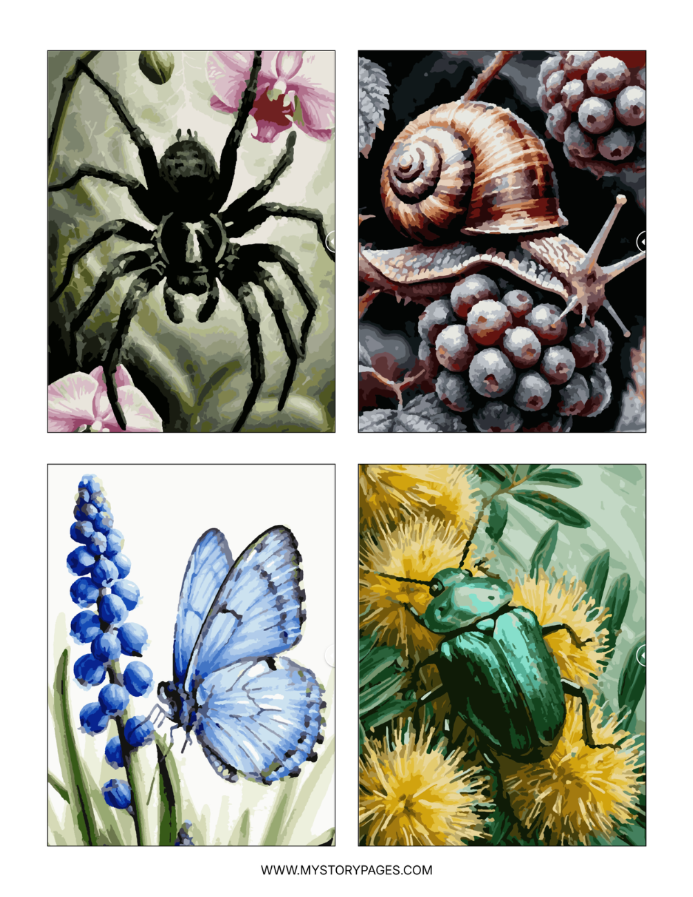 Insects Mystery Coloring Book (Digital Download)