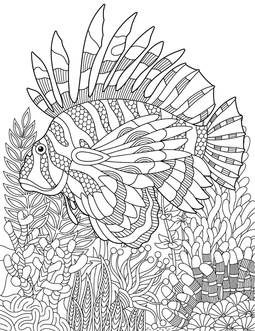 Ocean Paradise Coloring Book Vol. 5 Digital Download PDF | 39 Pages Sea Life Adult Coloring Book