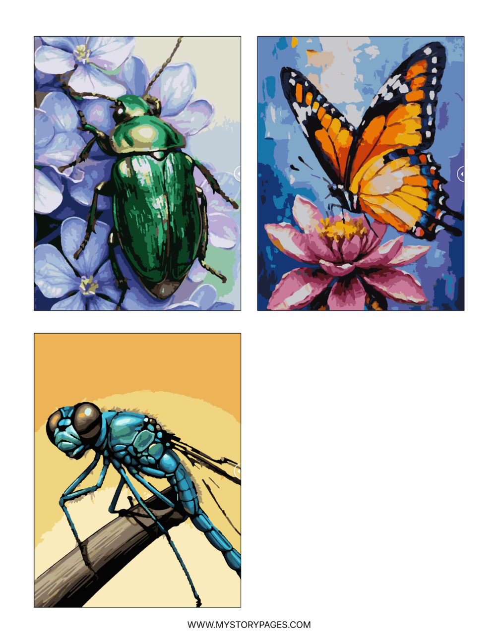 Insects Mystery Coloring Book (Digital Download)