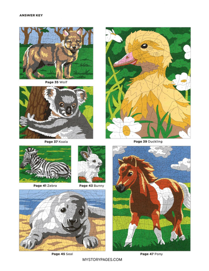 Mystery Coloring Book Tome 2 (Digital Download)